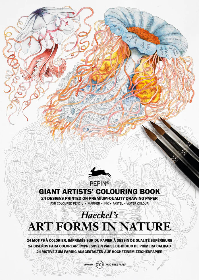 Artist's Coloring Book