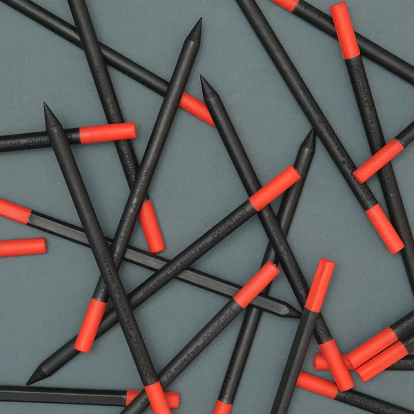 Perpetua Recycled Graphite Pencil