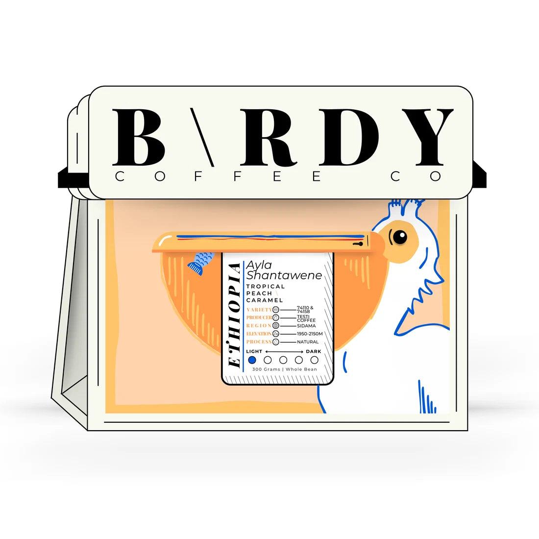 Birdy Ethiopia Ayla Shantawene 300 gr